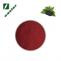 High purity elderberry extract/ black elderberry extract/elderberry powder 25% Anthocyanidins