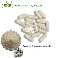 OEM Factory Wholesales Garcinia Cambogia HCA 95% 60% Capsules