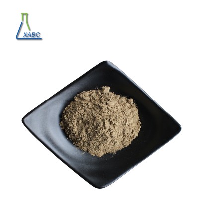 Factory supply Black garlic extract CAS 70831-56-0 S-allylcysteine