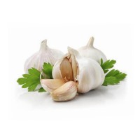 Factory Directly Supply garlic oil high concentrate extract ready to ship