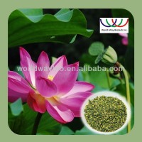 free sample! CAS 475-83-2 edible herbal extraction natural lotus leaf extract