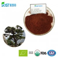 Top Quality Pure Natural Pine Bark Extract Powder