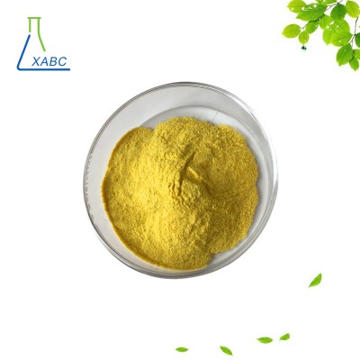 High quality smoketree extract 98% fisetin cas 528-48-3