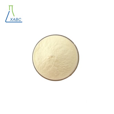 Food Supplement Probiotics Lactobacillus Bulgaricus Powder