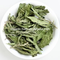 Green Leaf Stevia Powder Bulk Steviosides Powder